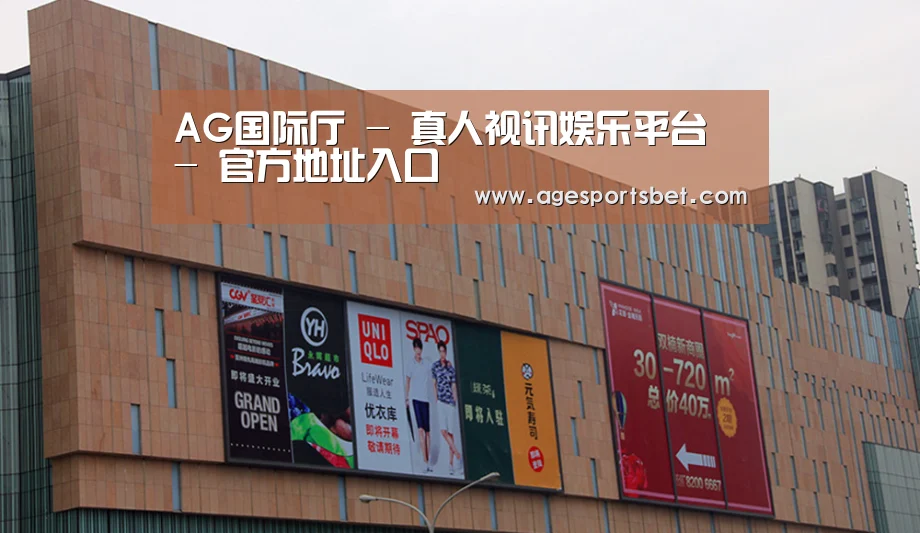 龙湖 · 金楠天街(图1)