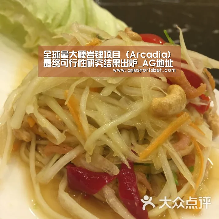 全球最大硬岩锂项目(Arcadia)最终可行性研究结果出炉_AG地址(图2) AG国际厅
